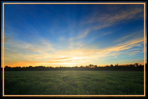 Sunrise on Fields