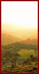 panorama luminoso cv