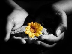 misericordia e tenerezza