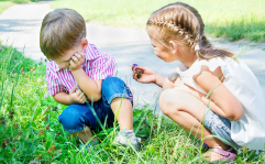 donare amicizia consolare