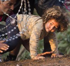 Refugees clamber through barbed wire as they cross from Serbia to Hungary, in Roszke, Thursday, Aug. 27, 2015. Over 10,000 migrants, including many women with babies and small children, have crossed into Serbia over the past few days and headed toward Hungary. (ANSA/AP Photo/Darko Bandic)