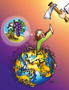 contadino vendemmia Fano