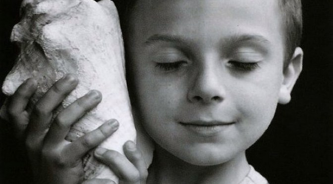 Ascoltare non basta! – Buona domenica! – XV domenica del Tempo Ordinario – Anno A