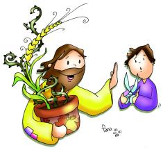 grano e zizzania fano