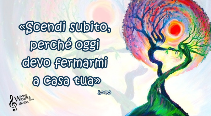 Nulla ti ferma – BUONA DOMENICA! – XXXI TEMPO ORDINARIO – ANNO C