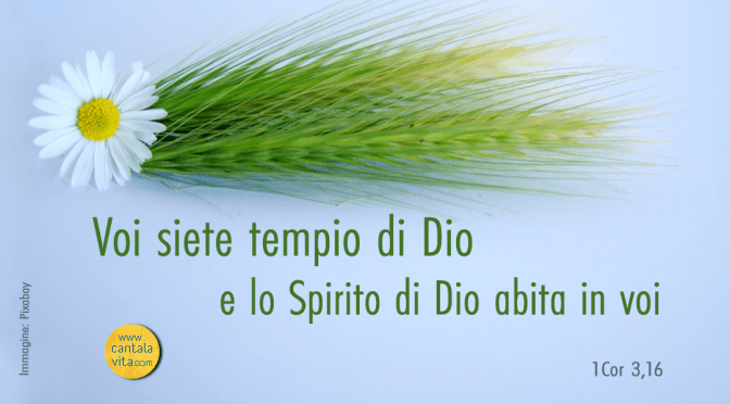 Siamo tempio di Dio – BUONA DOMENICA!  Dedicazione della basilica Lateranense – festa