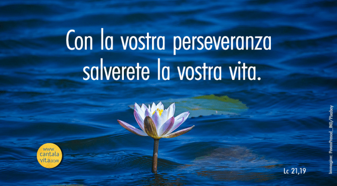 Perseveranza e determinazione – BUONA DOMENICA! XXXIII domenica del Tempo Ordinario – anno C