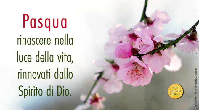 È Pasqua, sei con noi! – BUONA DOMENICA! Domenica di Pasqua