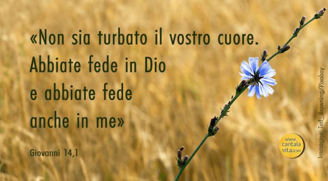 Questione di fiducia – BUONA DOMENICA! V Domenica di Pasqua – anno A