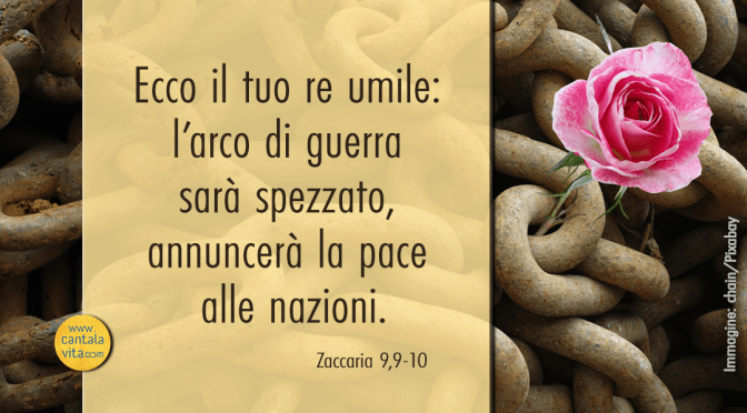 Occhi chiusi per i sapienti – BUONA DOMENICA! XIV domenica del Tempo Ordinario – anno A