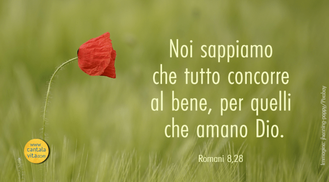 Cercare o lasciarsi trovare? – BUONA DOMENICA! XVII domenica del Tempo Ordinario – anno A